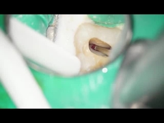 Uso dentario dentario di RA Burs Tungsten Carbide Burs a bassa velocità